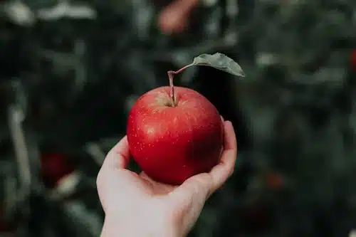 Hur många kalorier i ett äpple